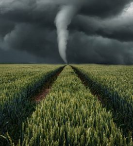 tornado in country