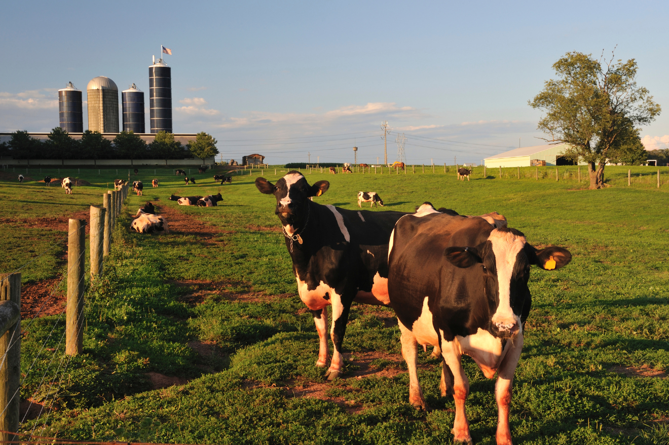 The Benefits of an Anaerobic Digester on Your Dairy Farm